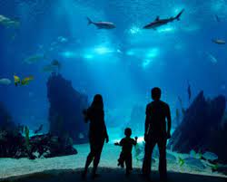how much is the baltimore aquarium